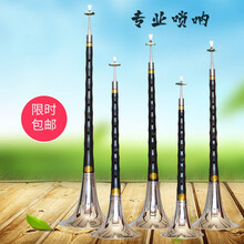 唢呐乐器优质乌木唢呐初学者成人唢呐全套民族乐器抖音同款 红花梨木D调+九重礼品