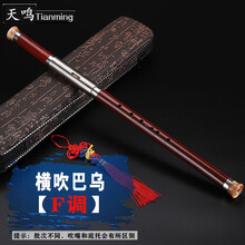 巴乌胶木树脂竖吹仿红木C调B调G调F调小学生成人初学横吹巴乌 横吹 F调 巴乌