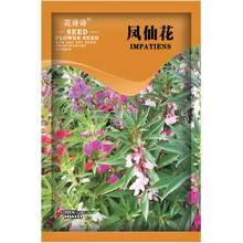 花诗诗 凤仙花种子四季种易活花卉种子凤仙花籽庭院易种指甲花种子室外耐热花卉盆栽指甲草阳台花草种籽花园 凤仙花种子 混色型 5克约500粒 厂商封装