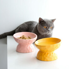 凹凸纹高脚斜口陶瓷猫碗保护颈椎斜口高脚狗狗猫粮碗猫咪食盆饭盆防打翻 小号(200ML)粉色