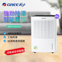 格力（GREE）除湿机 家用 工业 抽湿机 卧室 地下室 大功率除湿器40升/天 DH40EI