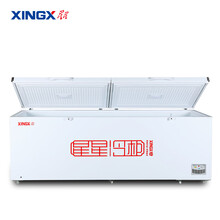 星星（XINGX）商用冰柜518升多容积大容量冷柜卧式冰箱 低温冷冻柜 商用超市餐馆 节能保鲜冷柜 875升 BD/BC-1098GE