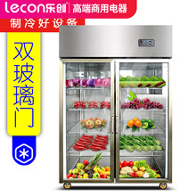 乐创（lecon） 冷柜冰柜商用立式冰柜双门四门对开门冰箱冷藏冷冻保鲜展示柜 双门玻璃冰柜全保鲜