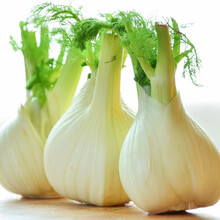 寿禾 割茬小茴香种子/大茴香苗回香菜荤香春季播种阳台四季盆栽蔬菜莱种孑种苗耐寒山东寿光种籽种苗菜籽 球茎茴香种子 1g（约200粒）