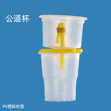 儿童益智玩具科学小实验物理科技手工制作公道杯材料包6-8岁 公道杯