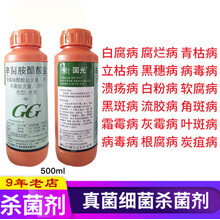 国光辛菌胺醋酸盐桃树流胶病苹果腐烂果锈葡萄酸腐病农药杀菌剂 500ml*5瓶