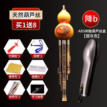 葫芦丝初学入门C调降B调葫芦笛耐用好吹演奏民族乐器 可刻字 紫竹葫芦丝降B调+树脂银灰盒+配件