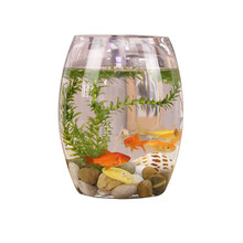 创意桌面鱼缸生态圆形玻璃鱼缸乌龟缸迷你小型造景家用水族箱灵儿宠物 35号炮+石子+假草+鱼食+渔捞