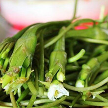 良邻和优 水性杨花 云南特产海菜 水性杨花菜 大理洱海海菜花 500g
