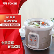 天际（TONZE）电炖锅白陶瓷内胆煲汤煮粥锅预约定时 全自动快速炖汤 5升快炖系列