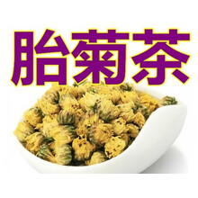 【精选】胎菊王 胎菊500g克散装 头采正宗桐乡杭白菊花茶叶批 发