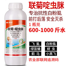农药白粉虱专用药飞虱蚜虫小黑飞大棚蔬菜草莓番茄辣椒果树农药杀虫剂 1000g