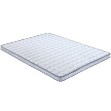 双箭 椰棕宿舍单人床垫棕垫1.2米厚度5cm SJ-318