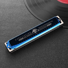 德国进口音簧天鹅口琴24孔高级成人儿童入门初学者学生C调复音专业演奏级口琴 蓝色【音标款】+全套赠品