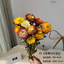芳庭 ins天然风干真花七彩麦秆小雏菊干花花束野餐家居客厅diy摆件 01七彩菊10朵 干树枝