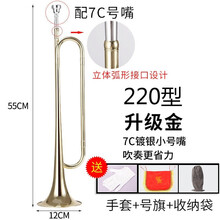 青年号学生初学降b调吹号乐器纯铜成人小号乐器 _金色_《旗舰款》配省力7C号嘴_有号旗_手套_收