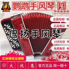 鹦鹉巴扬手风琴 8/12/60/96BS巴扬琴 初学考级专业演奏 60贝司 酒红色 YW-672+大礼包