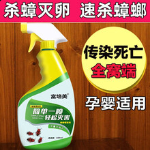 蟑螂药喷剂家用灭蟑螂杀虫剂蟑螂喷雾无味厨房酒店衣柜捕捉蟑螂蟑螂屋蚊子飞虫苍蝇 2瓶装(500mlx2)