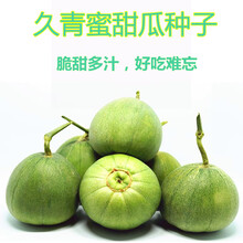 羊角蜜甜瓜种子 薄皮香瓜种籽 羊角脆羊角酥超甜水果四季高产 久青蜜1000粒原装