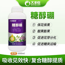 大丰收 糖醇硼水溶肥 水剂 复合糖醇 1000ml*1瓶