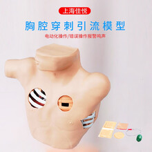 佳悦科教通 胸腔穿刺引流模型 气胸液胸闭式处理训练模型JY/L67