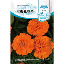 花友秀 花卉种子 四季种植 家庭阳台 园艺休闲 重瓣孔雀草花卉种子2克 约500粒