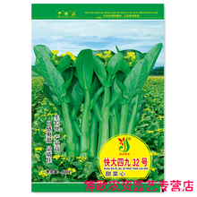 广东菜心种籽油菜籽种四季红菜苔种孑四九菜心种宁夏甜菜心种子50 建南四九白梗菜心原装400克