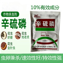 10%辛硫磷颗粒杀虫剂蛴螬地虎土蚕金针玉米螟地下害虫土壤杀虫药 300g