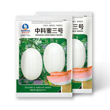 中科茂华瓜果种子中科蜜三号厚皮甜瓜种子香瓜种籽白皮果肉厚20粒