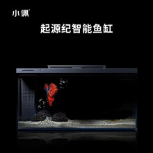 小佩智能鱼缸起源纪家用小型鱼缸办公室桌鱼缸水族箱灯光增氧水泵造景超白玻璃金鱼缸 智能鱼缸(不含造景)