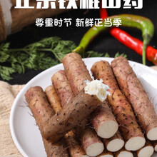 【顺丰】山药新鲜5斤 铁棍山药正宗沙土粉糯山东菏泽沙土铁棍山药农家 5斤(50到70公分)