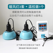 宠物暖风保温灯可调温度养殖取暖灯小鸡小狗刺猬加热灯发热保暖灯 【2个暖风灯带灯头开关线】+【温控器】