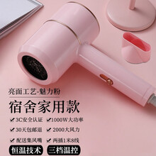 诺美丝（nuomeisi）电吹风机家用负离子大功率宿舍学生网红款风筒发廊冷热 魅力粉