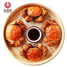 【活蟹】金碧波六月黄大闸蟹现货2.3-2.6两10只装螃蟹海鲜水产