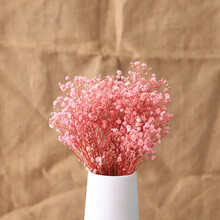 北朝情调 网红干花花束真花天然风干ins客厅装饰摆件满天星棉花兔尾草芦苇 粉色满天星