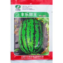 西瓜苗秧8424甜王特大高产水果四季春季农家田园南方蔬菜种子种籽 丰乐甜王西瓜 25g原装