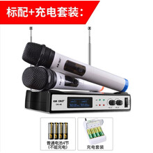 SAST/先科 ok-40家用唱歌麦克风KTV手持无线话筒一拖二 会议麦克风防啸叫小型会议培训教学通 标配+充电套装 官方标配
