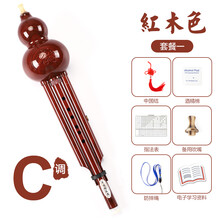 XINXIANGXI 葫芦丝儿童初学者用c调/降b调小学生防摔树脂胡葫丝乐器大 仿红木初学C调套餐一