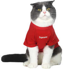 网红猫咪防掉毛衣服英短猫专用春秋薄款夏季宠物衣服 supreme-红色T恤(薄款春秋) L(7-9斤左右)