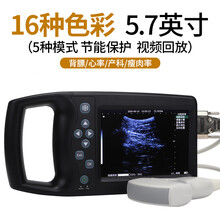 猪博士兽用b超机猪用B超母猪便携式彩超机测孕仪牛羊怀孕诊断仪 16色 电子探头b超【升级版】(猪/羊/犬)