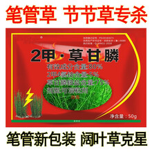 笔管劲锄节节草笔筒草笔筒草果园烂根死根笔管草 笔管劲锄100包