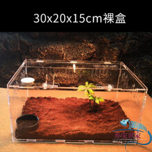 爬虫箱亚克力蜘蛛爬虫盒守宫蜥蜴透明爬虫饲养箱爬宠盒甲虫寄居蟹 30*20*15cm裸盒送5件