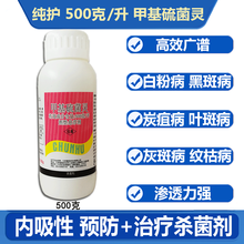 富田50%甲基硫菌灵杀菌剂甲基硫菌灵花卉绿植多肉植物盆栽白粉病煤烟病广谱杀菌剂 1瓶 500克
