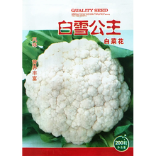 金龍 花椰菜种子 白雪公主白菜花种子 蔬菜种子早中熟白花菜种孑 耐热 白花椰菜种籽200粒/包