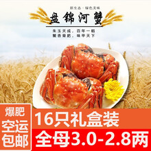 【活蟹】必有重蟹盘锦河蟹稻田蟹特大全母大闸蟹鲜活螃蟹现货生鲜水产毛蟹海鲜水产2两大蟹六月黄小螃蟹 【稻田蟹】2.5两公1.5两母12只+送4只