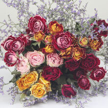 云南天然满天星干花花束客厅摆设插招财玫瑰干花真花装饰摆件风干SN1924 彩色玫瑰泡泡30头+情人草