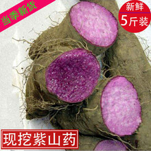 当季新鲜紫山药紫玉淮山大暑脚板薯毛薯农家自种时令蔬菜露天生长 500g
