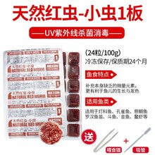 BESSN红虫冰冻牛心汉堡丰年虾冷冻红虫罗汉鱼金鱼七彩鱼发财鱼饲料 【普通快递】小红虫1板 +喂食镊+吸管