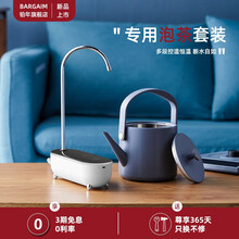 bargaim电茶壶泡茶专用迷你烧水壶长嘴电热水壶控温保温304不锈钢电水壶0.6升 云雾灰配上水器
