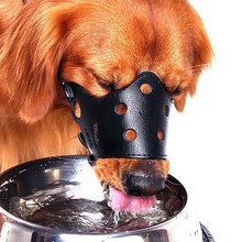 鼻涕猫 狗狗嘴套狗口罩防咬防叫中大型犬止吠器防乱吃金毛萨摩耶狗罩狗套宠物外出用品